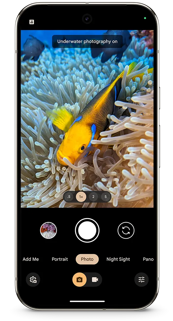 عکس برداری شگفت انگیز زیر آب گوگل پیکسل