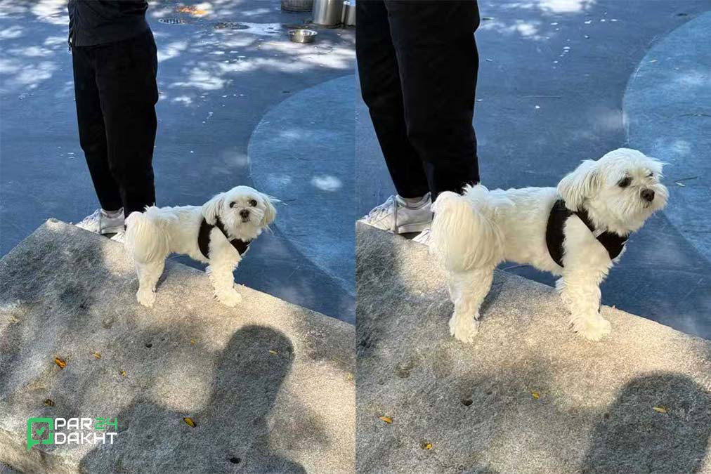 عکسای با دکمه دوربین آیفون ۱۶