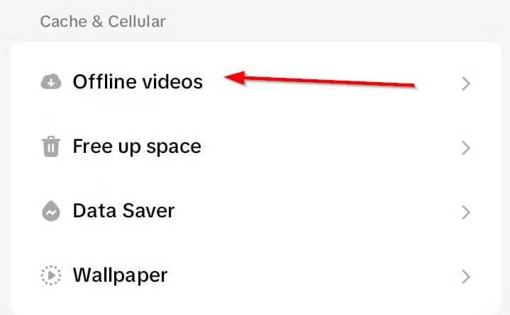 تماشای آفلاین ویدیو در تیک تاک