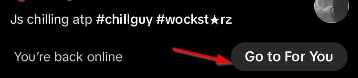 حالت آفلاین تیک تاک