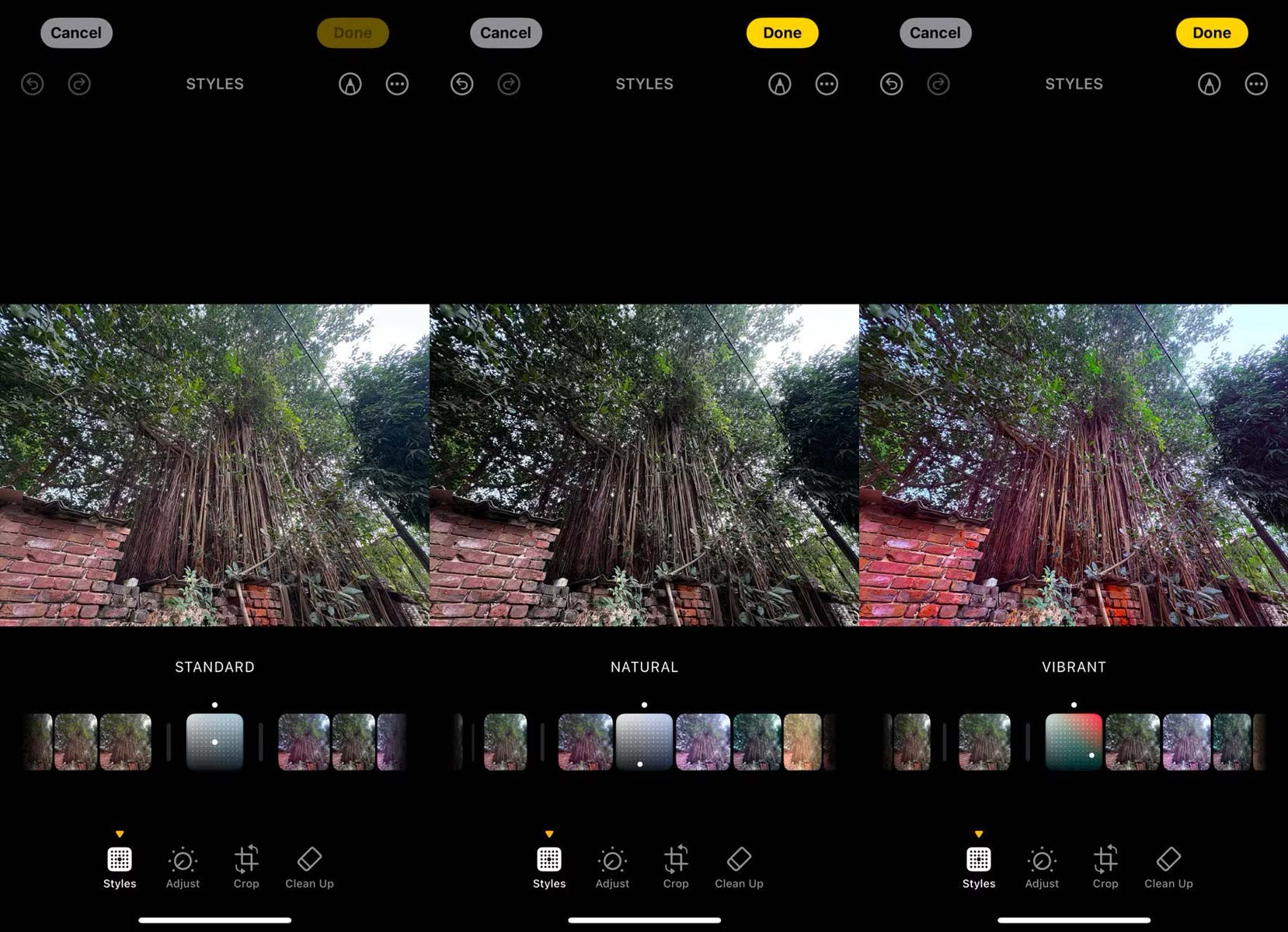 سبک Amber عکاسی آیفون