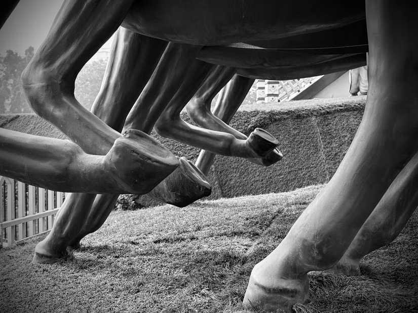 نحوه اعمال سبک‌های تصویری در آیفون ۱۶