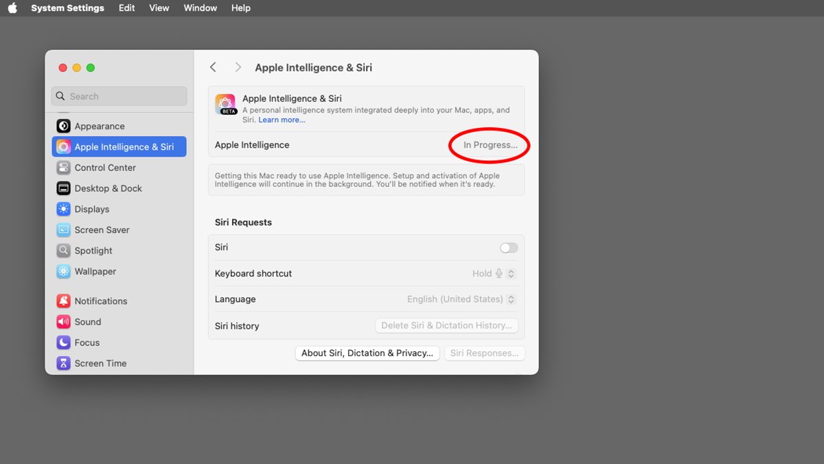 تنظیمات هوش مصنوعی اپل