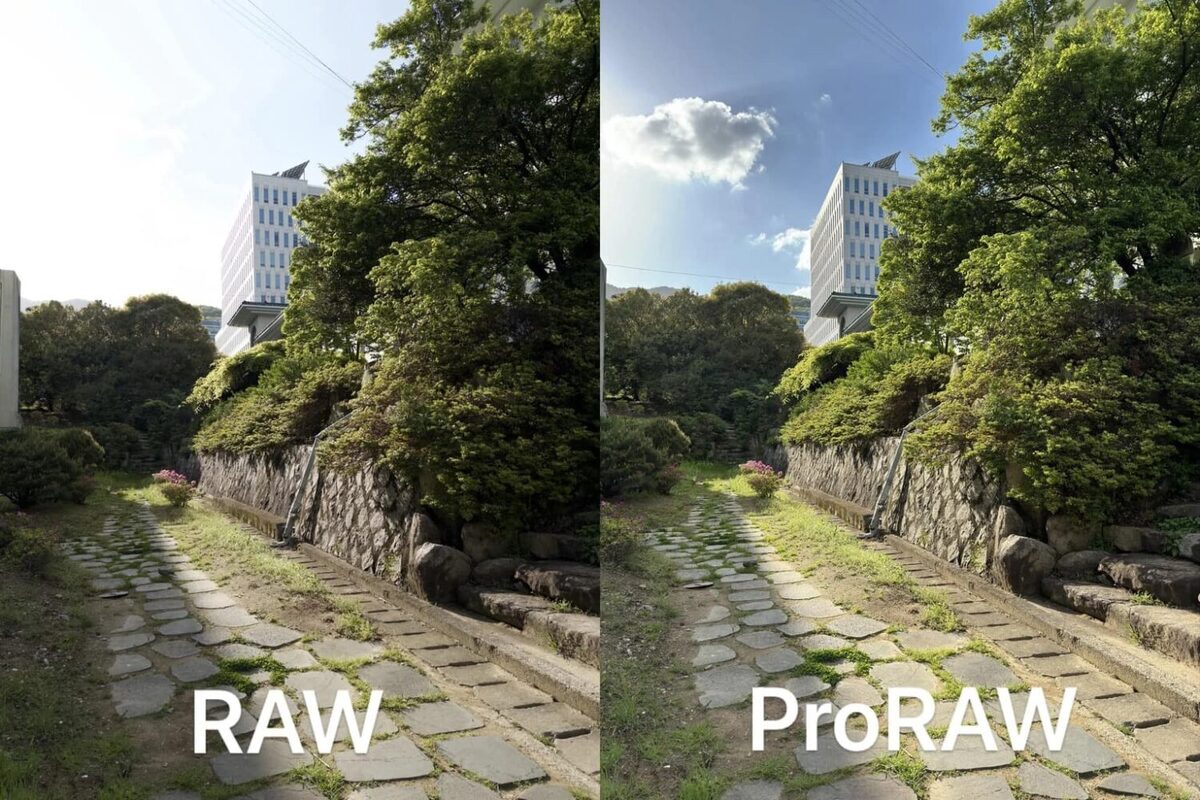 تفاوت بین تصویر RAW و Apple ProRAW