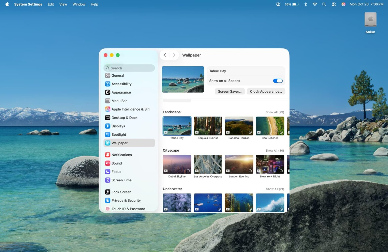 تغییر تصویر پس‌زمینه (Wallpaper) مک بوک